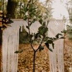 Vu sur l'arbre avec l'arche en second plan.